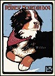 Bernese Mountain Dog Print LWDPBMD